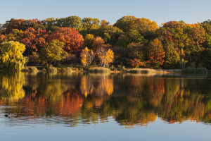 High Park, Toronto - In the Fall